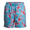 COMFORT ZONE Men's Swimming Trunk Set Lobster Assorted Sizes 6 Piece